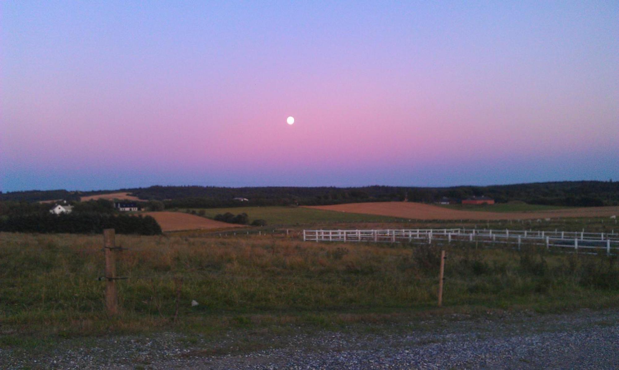 Hotel Hojgaarden Slettestrand ภายนอก รูปภาพ
